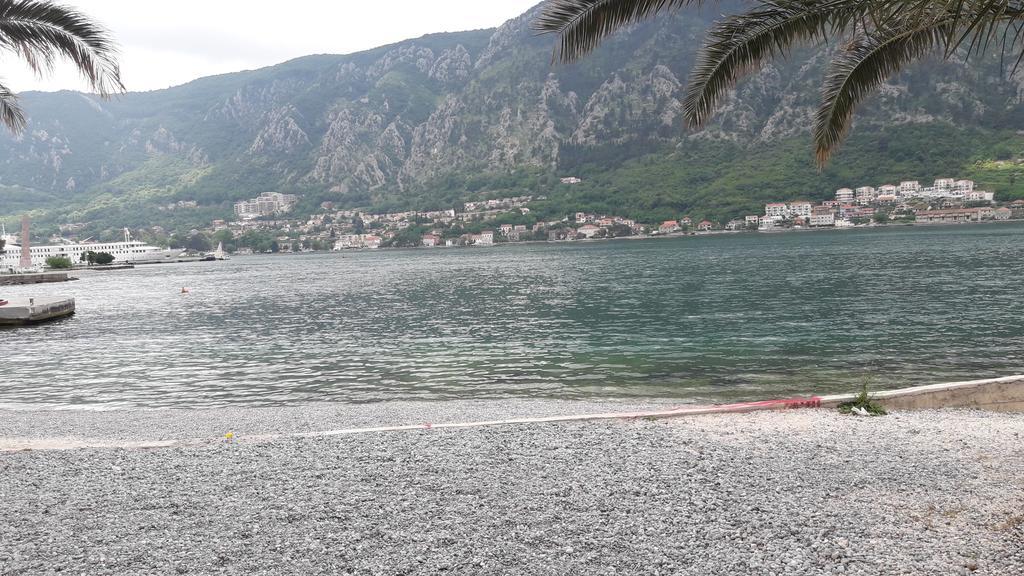 Apartment Todor Kotor Exterior photo